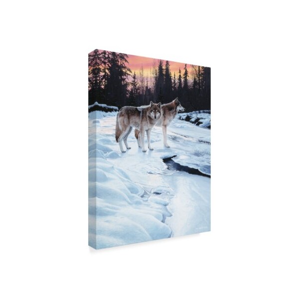 Ron Parker 'Wolves At Sunset' Canvas Art,18x24